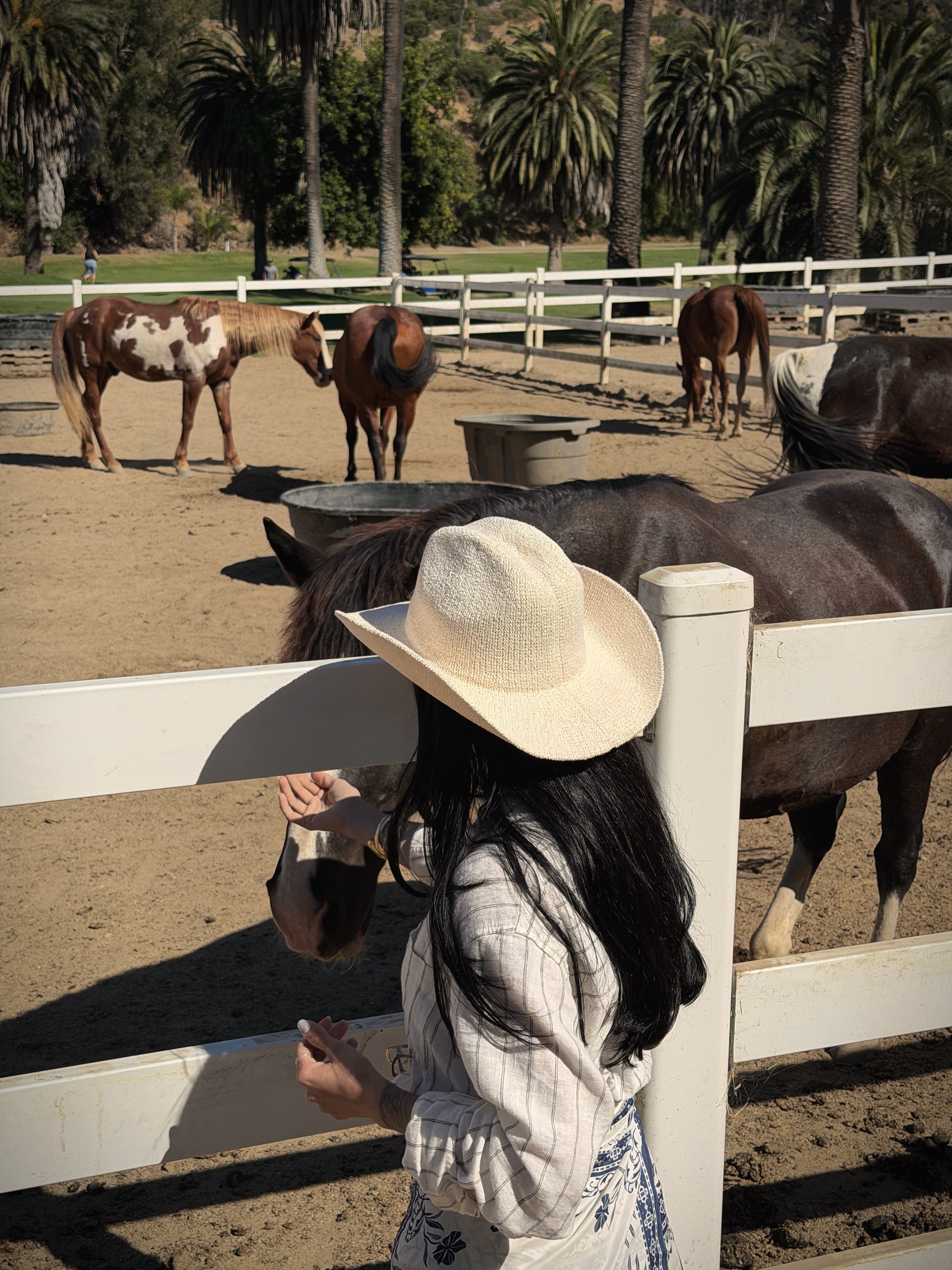 AURELIA HAT